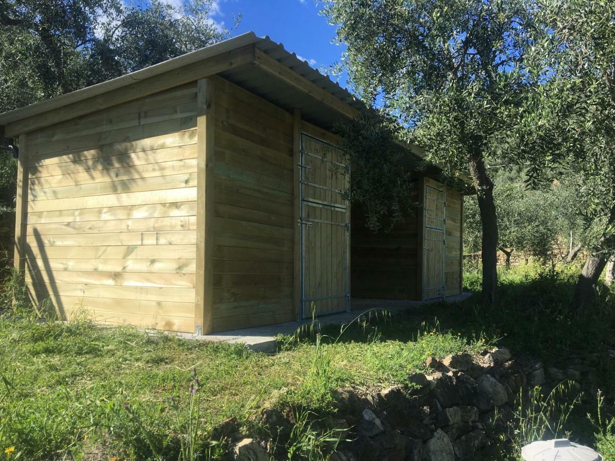 Agriturismo Oltrealmare Civezza Bagian luar foto